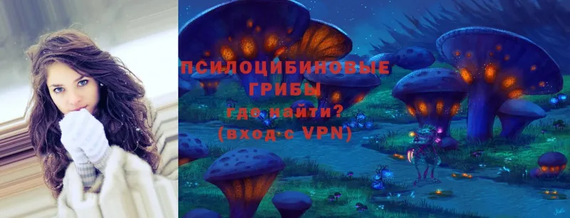 мега ТОР  darknet наркотические препараты  Галлюциногенные грибы Magic Shrooms  Домодедово 